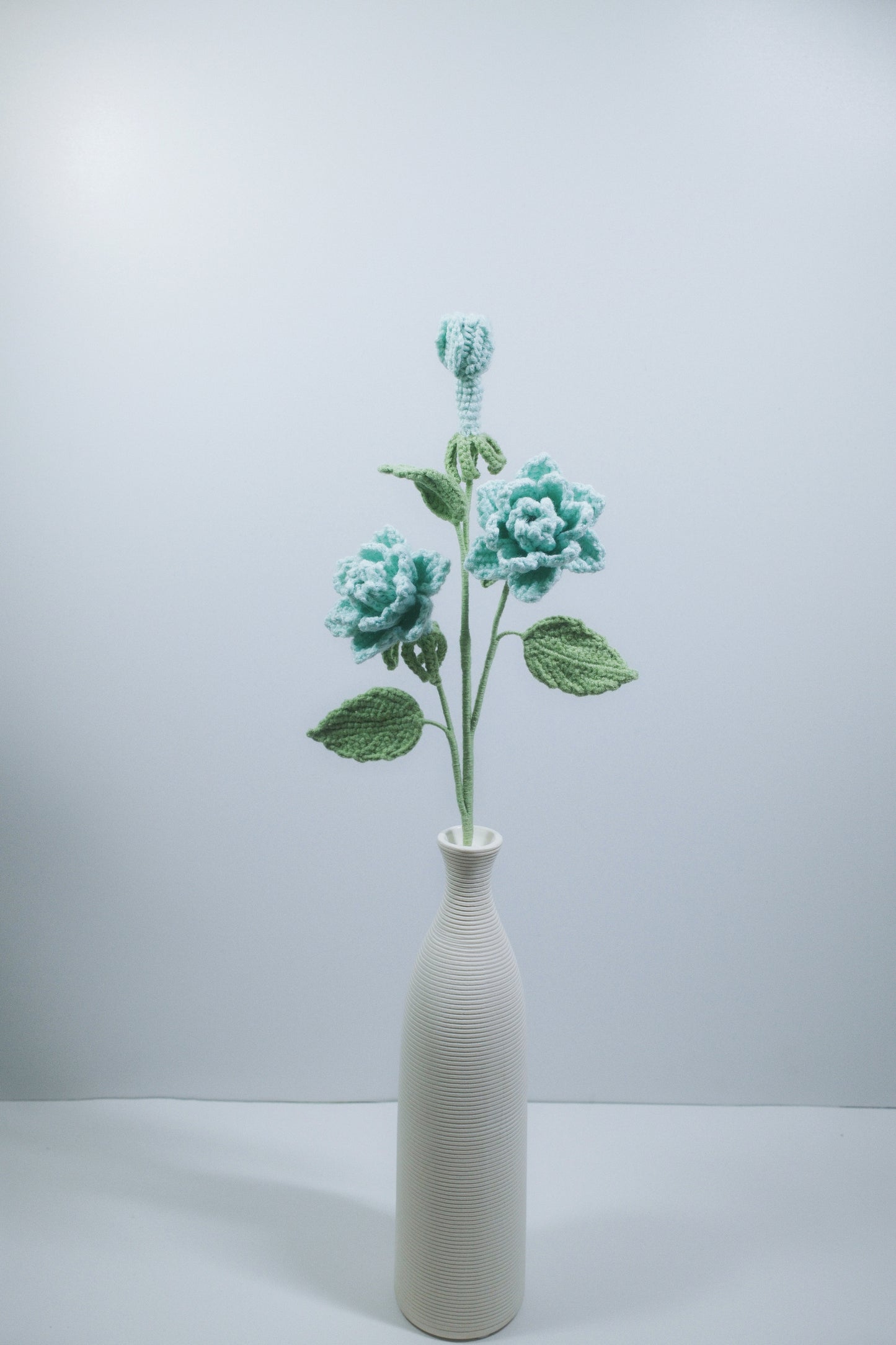 Gardenia