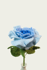 Thailand Rose
