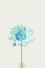Gerbera Daisy