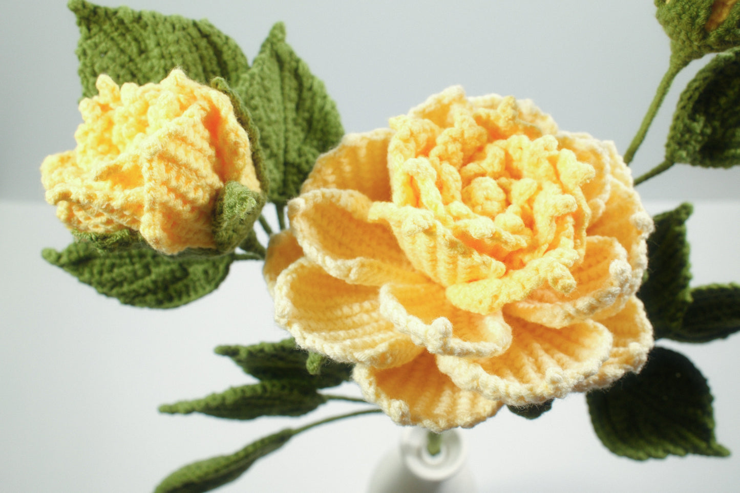 Peony Anthemy