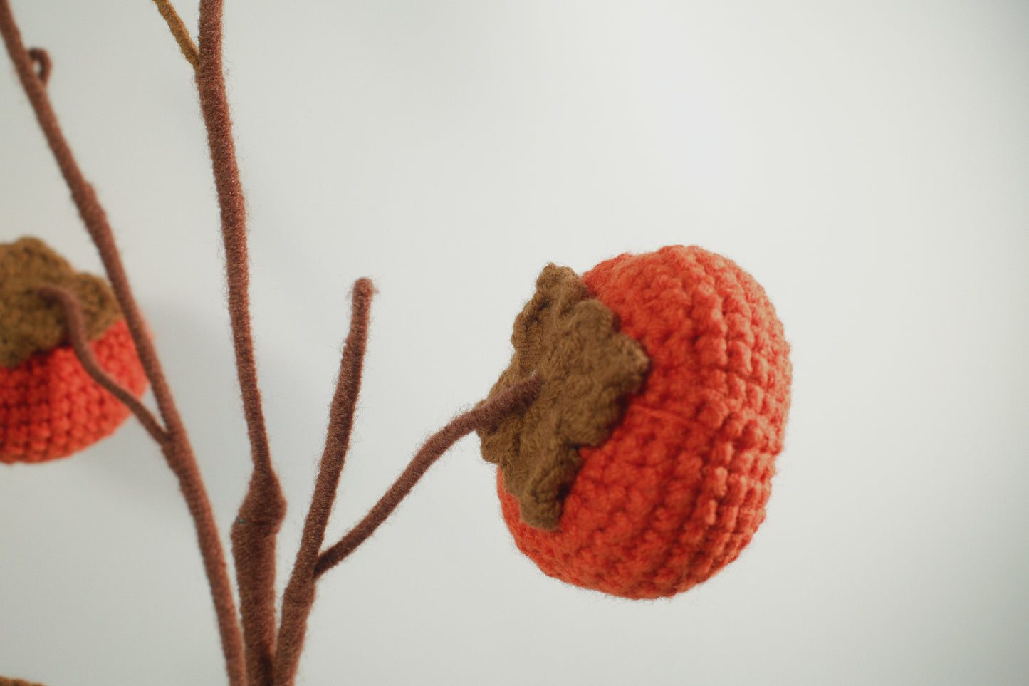 Persimmon