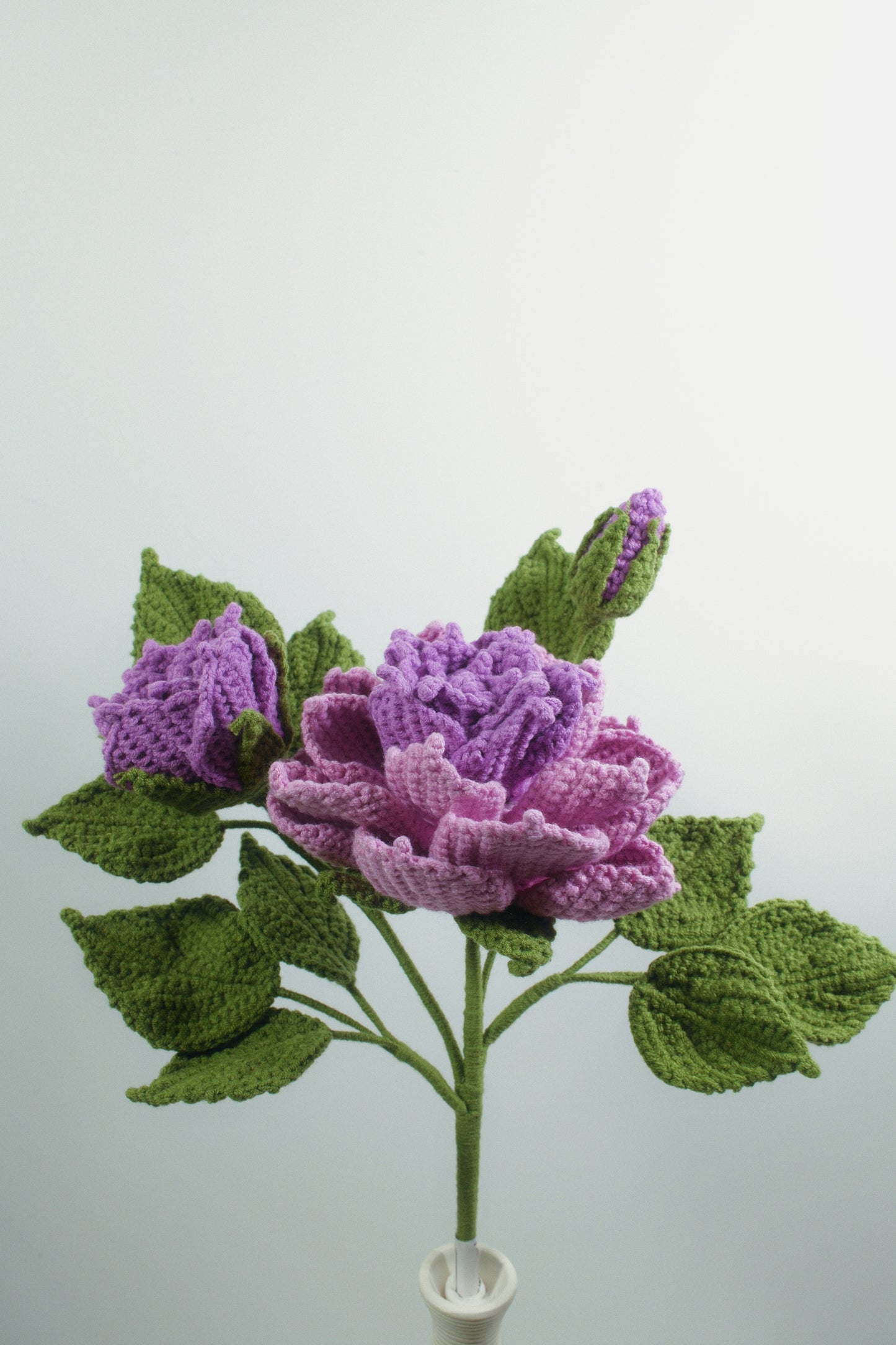 Peony Anthemy