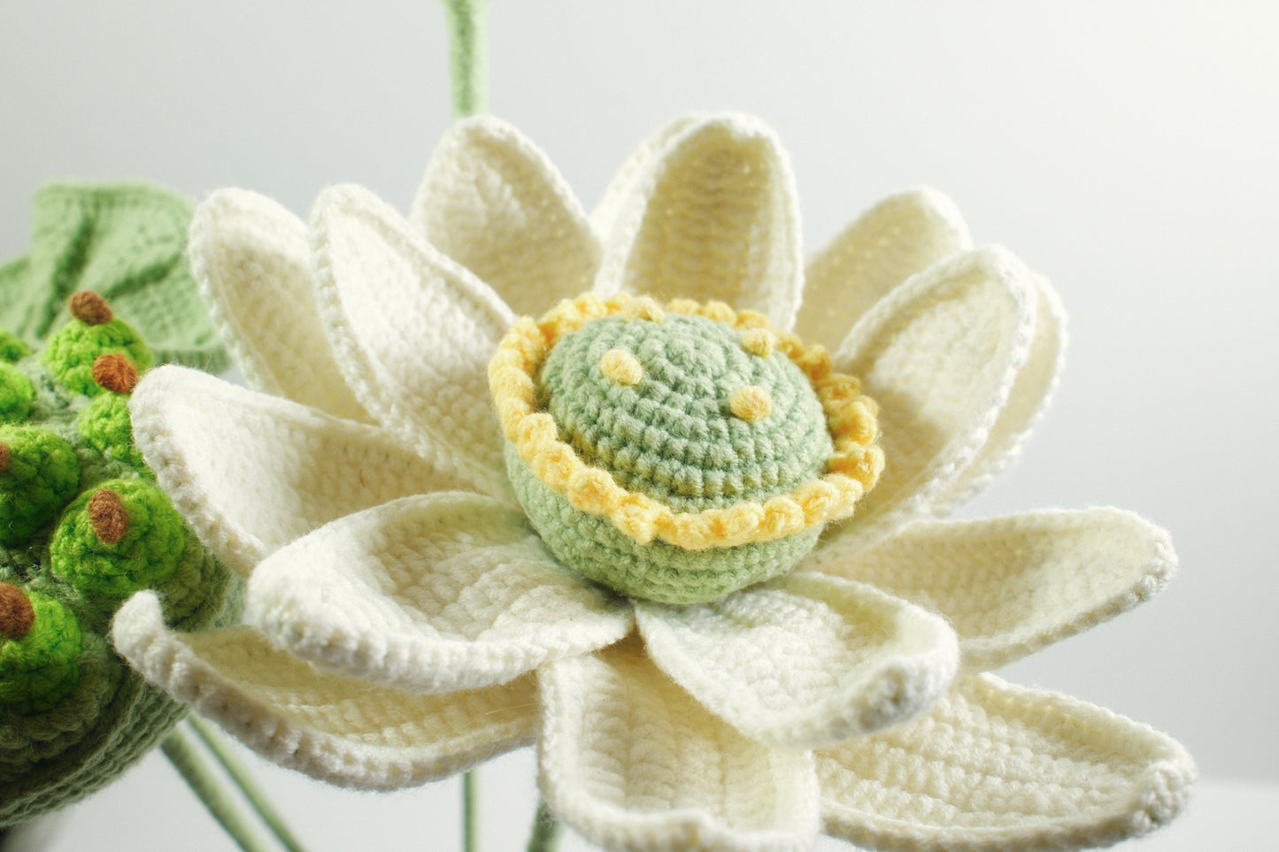 Lotus | Set of four