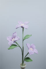 Kousa Dogwood
