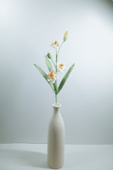 Daffodil
