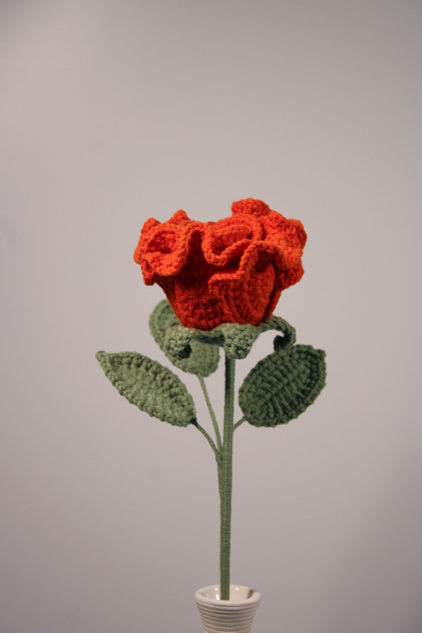 Duchess of Cambridge Rose | Red Rose
