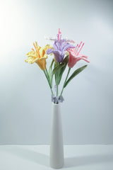 Alstroemeria Hybrida