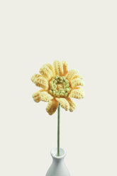 Gerbera Daisy