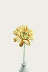 Gerbera Daisy