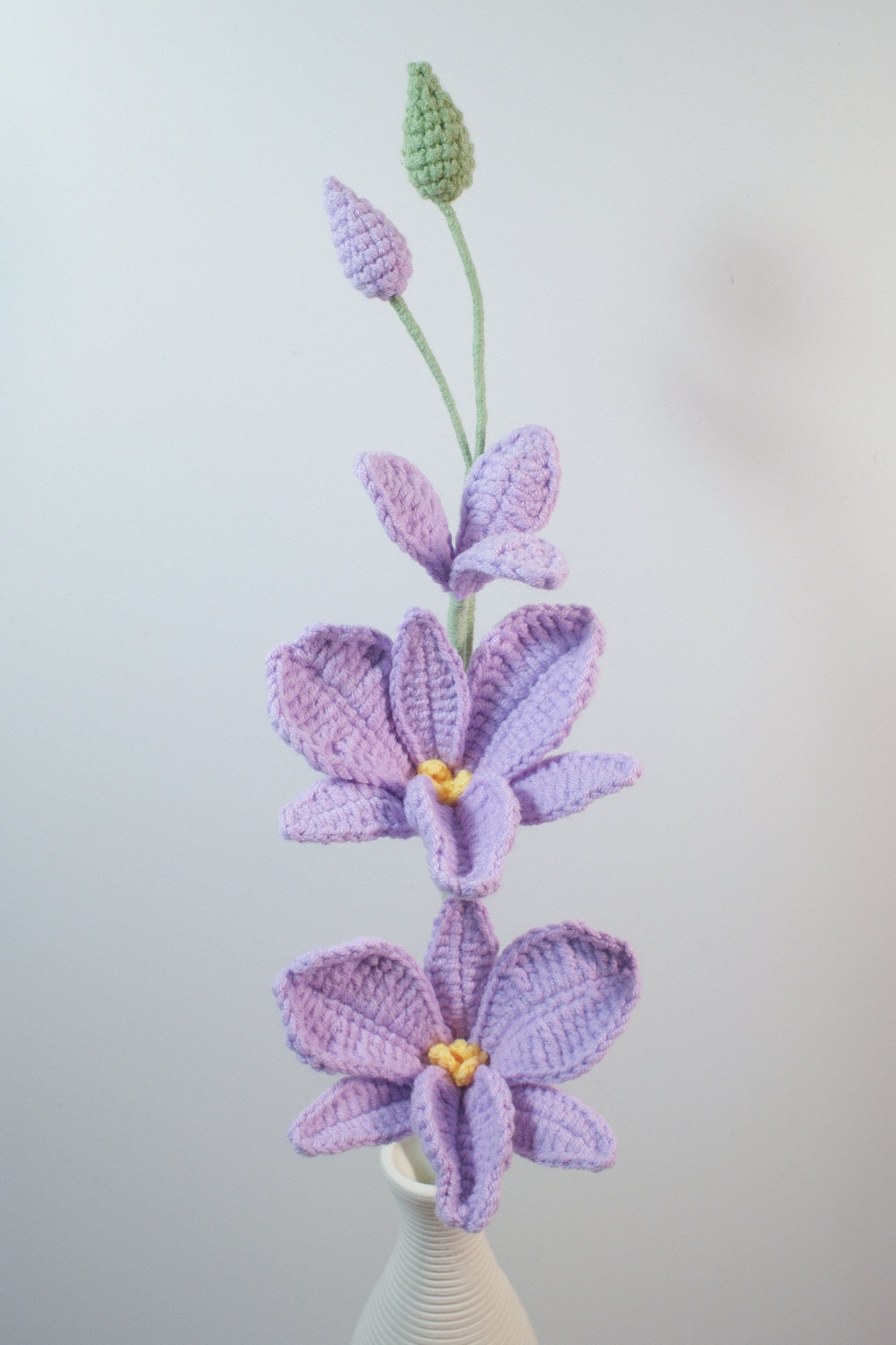 Dendrobium