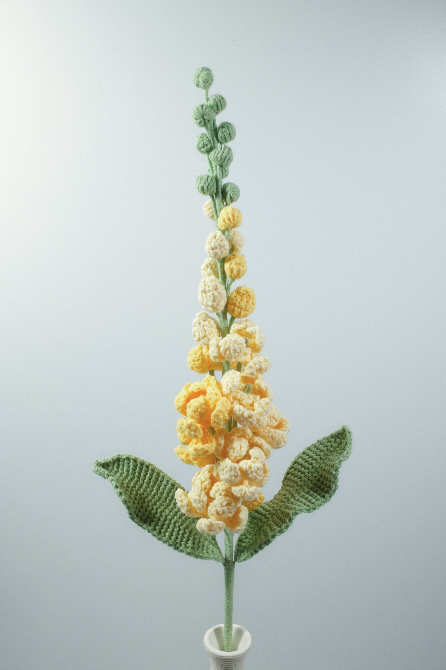 Delphinium Grandiflorum