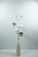 Tung Tree Flower