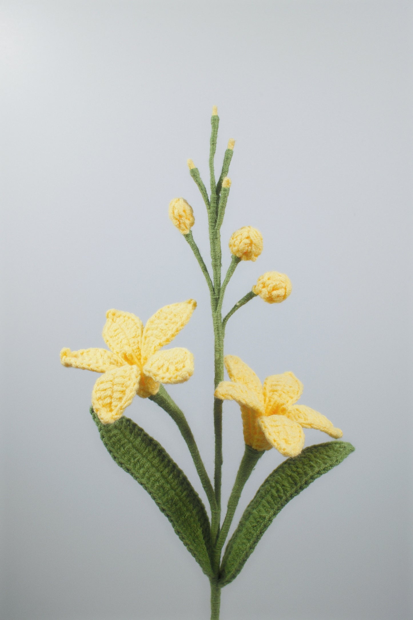 Renanthera