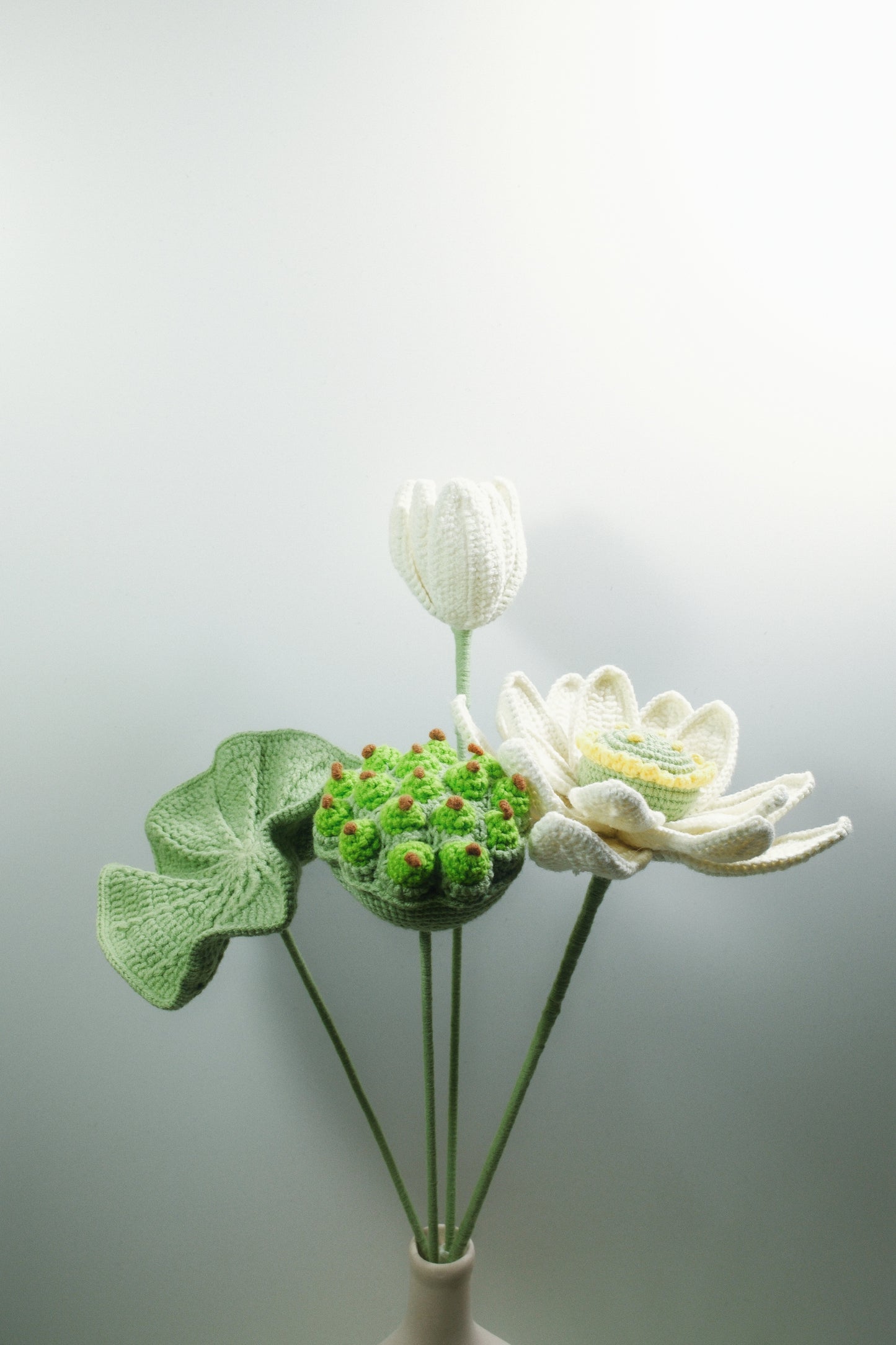 Lotus | Set of four