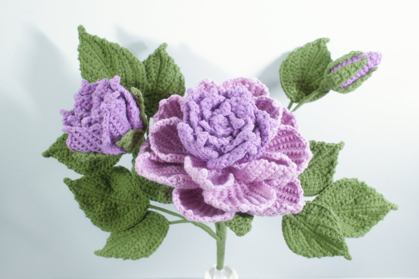 Peony Anthemy