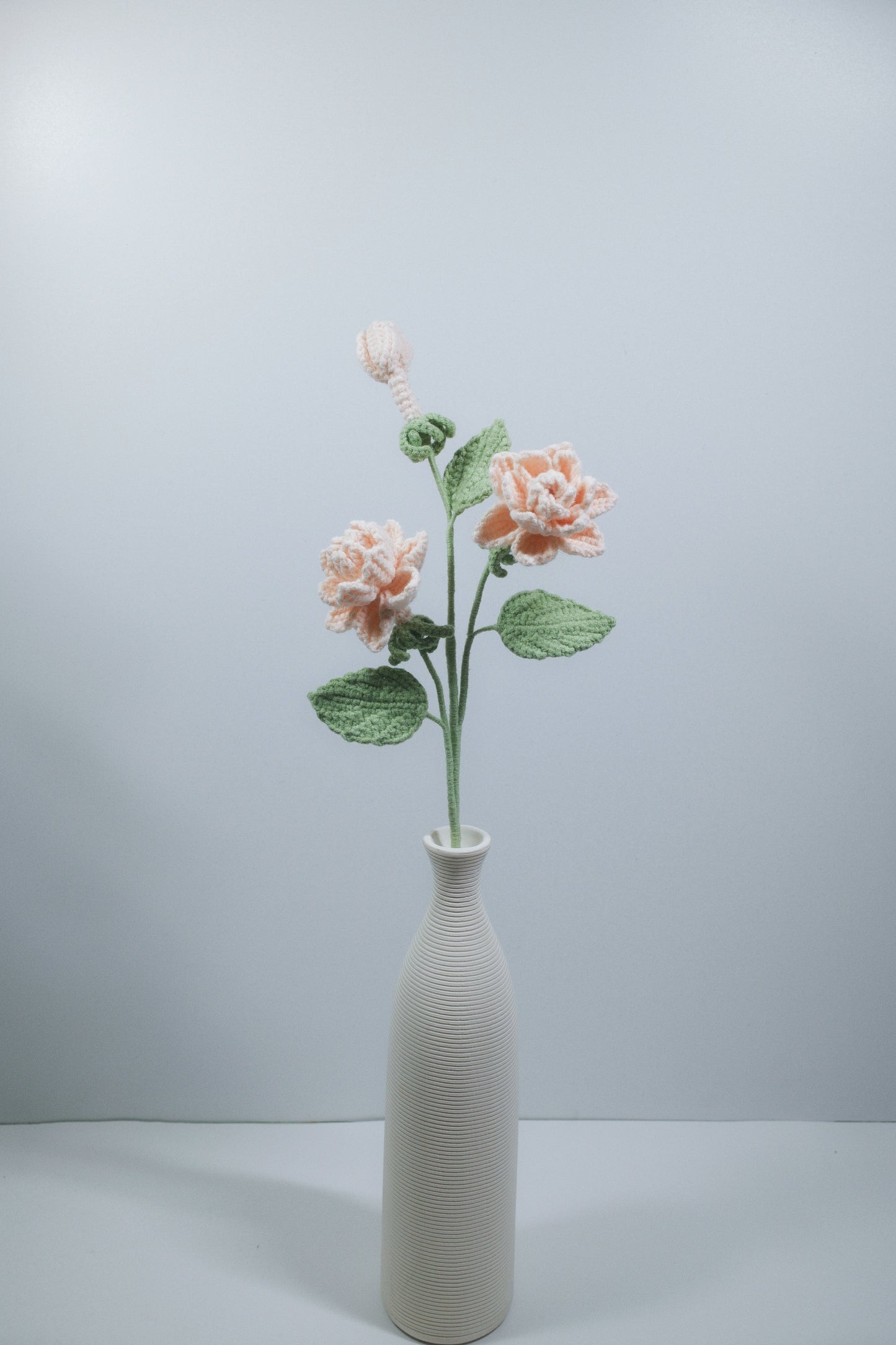 Gardenia