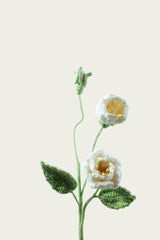 Small Gardenia