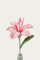 Peruvian Lily