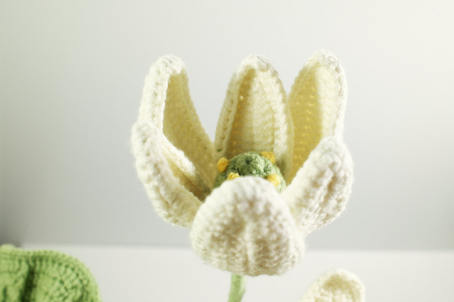 Lotus | Set of four