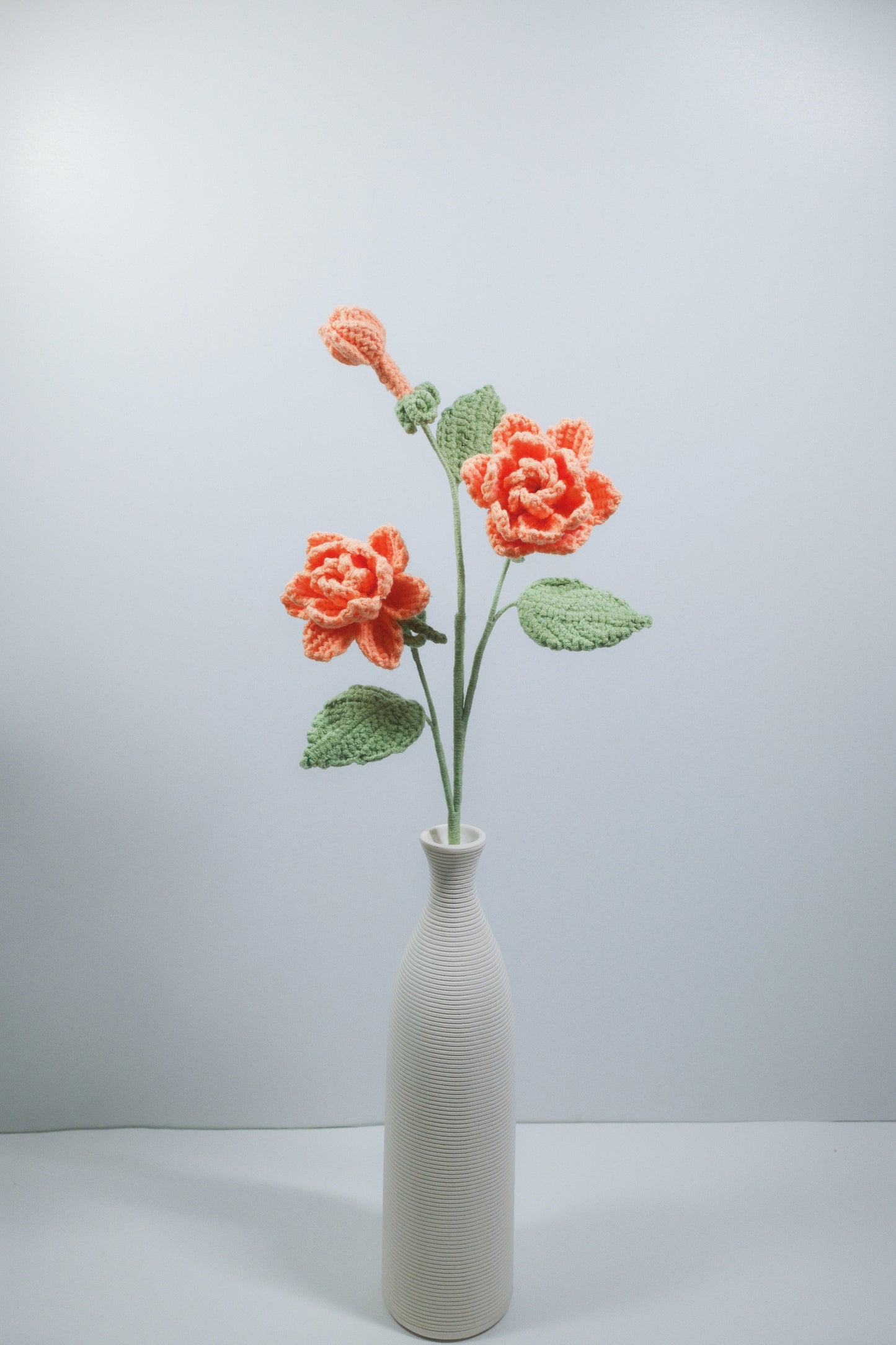 Gardenia