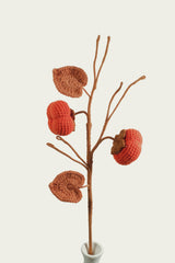 Persimmon