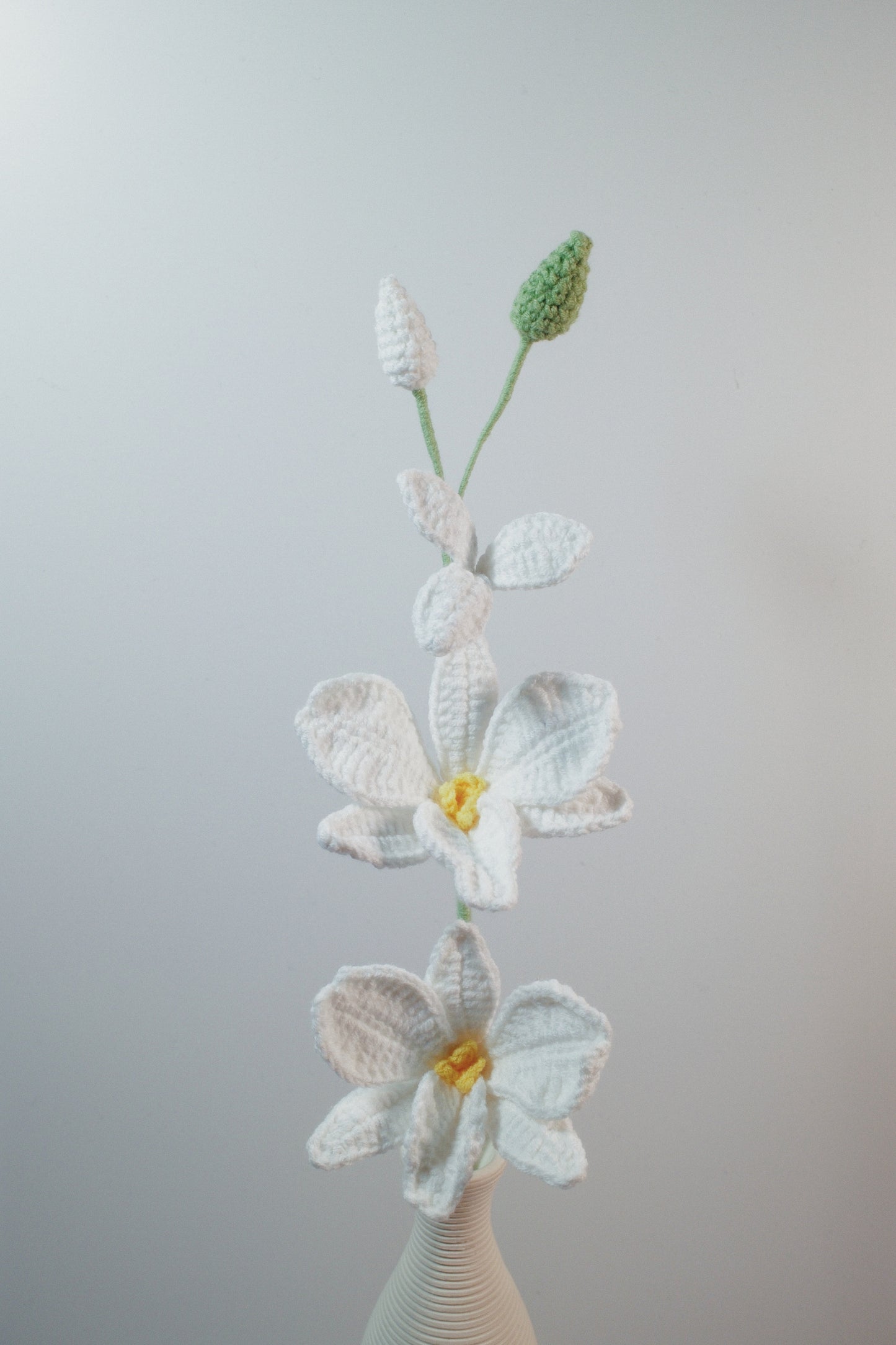 Dendrobium