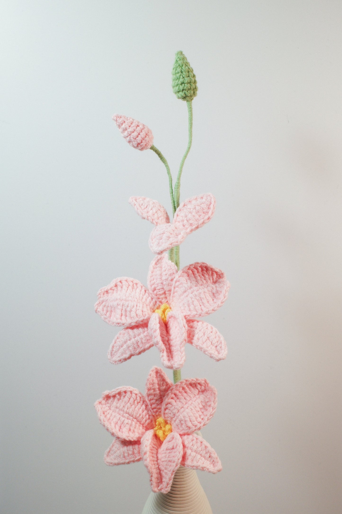 Dendrobium