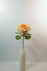 Thailand Rose