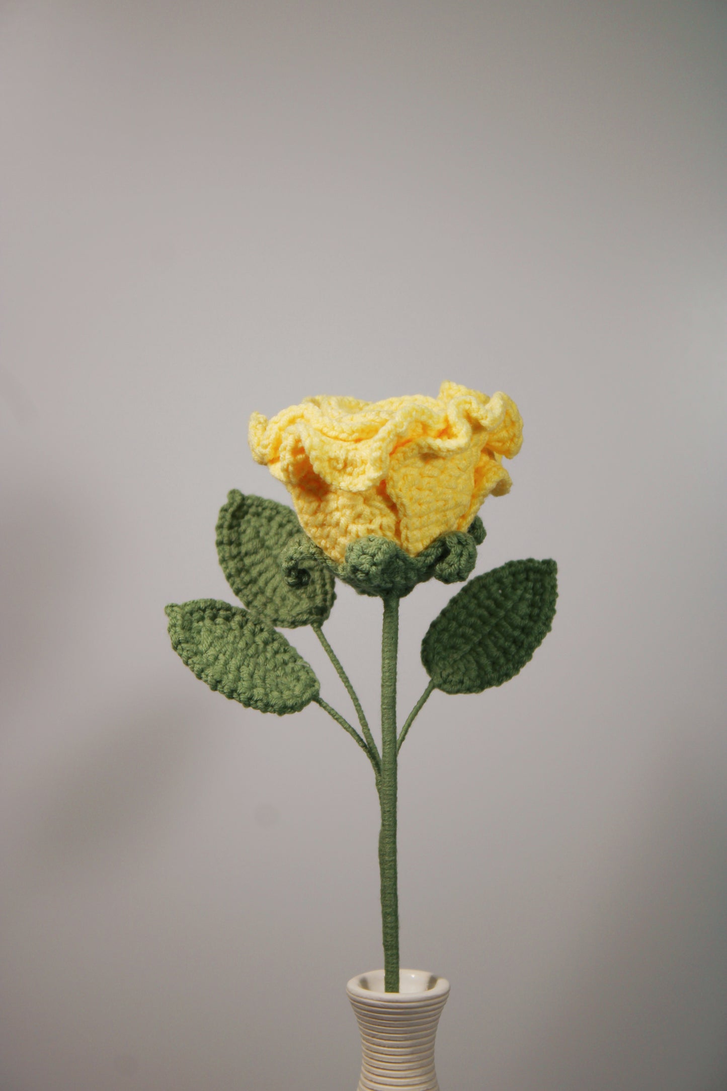 Duchess of Cambridge Rose | Red Rose