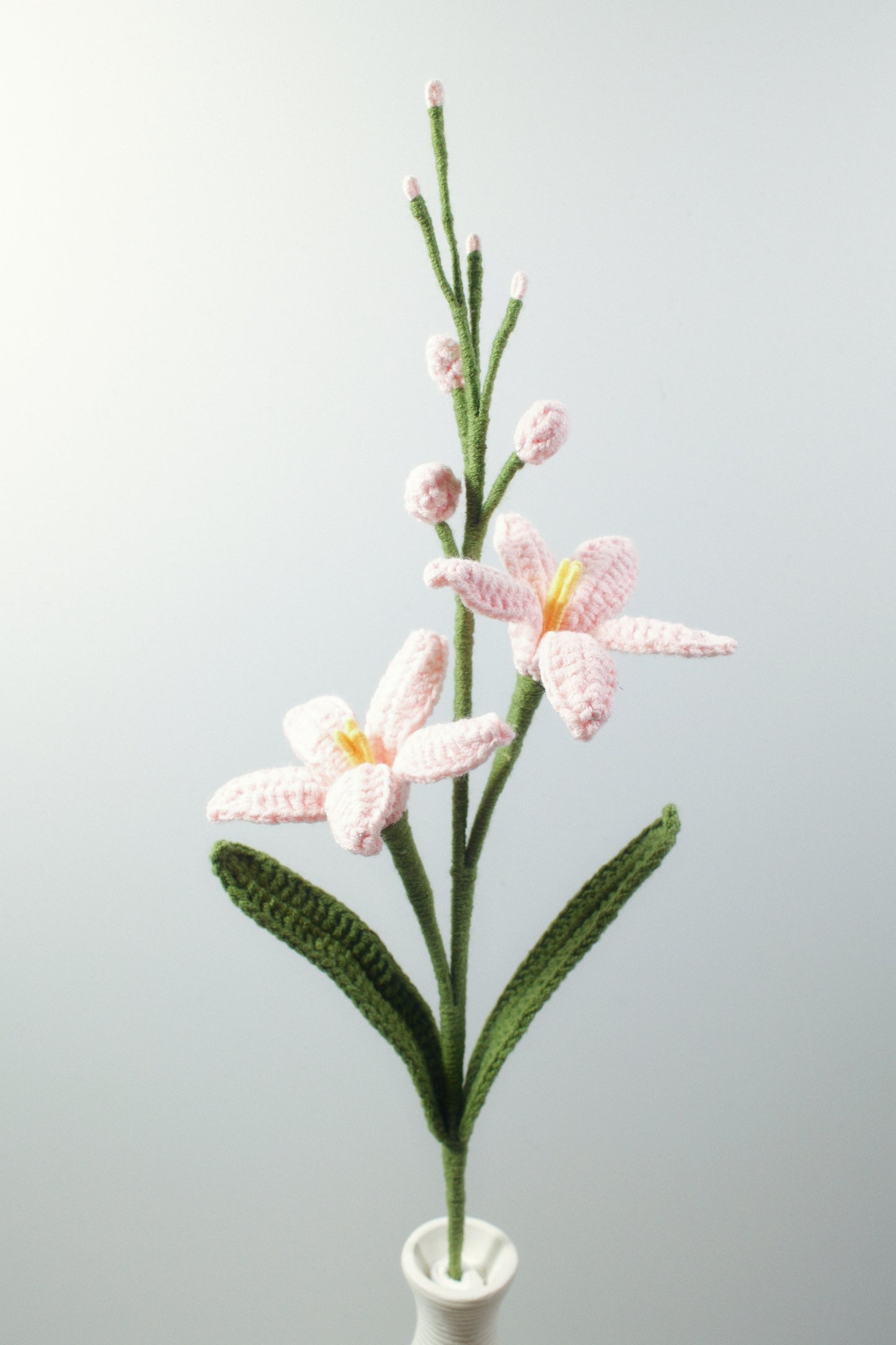 Renanthera