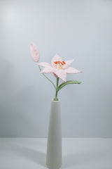 Lily