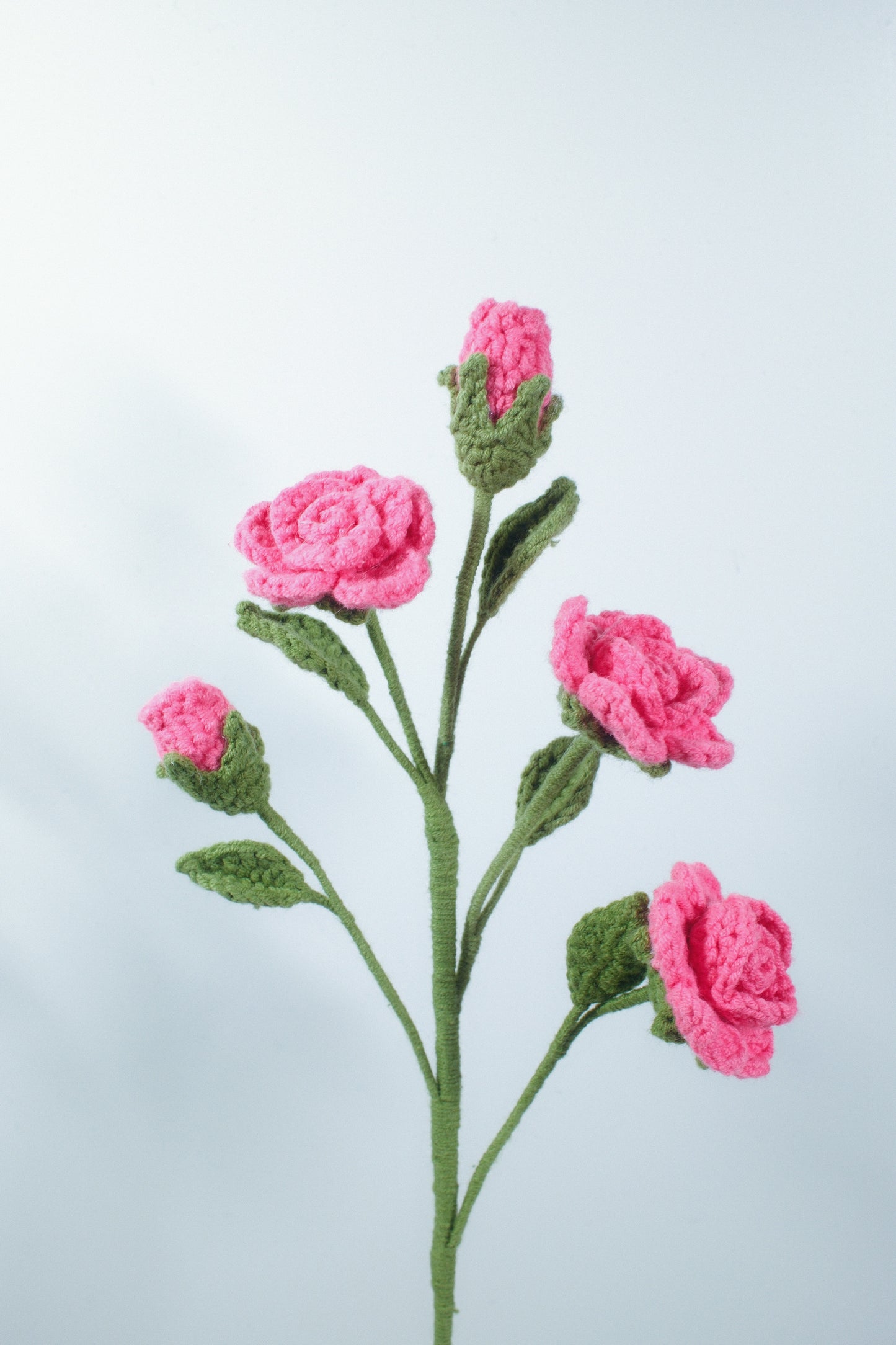 Barbie Rose