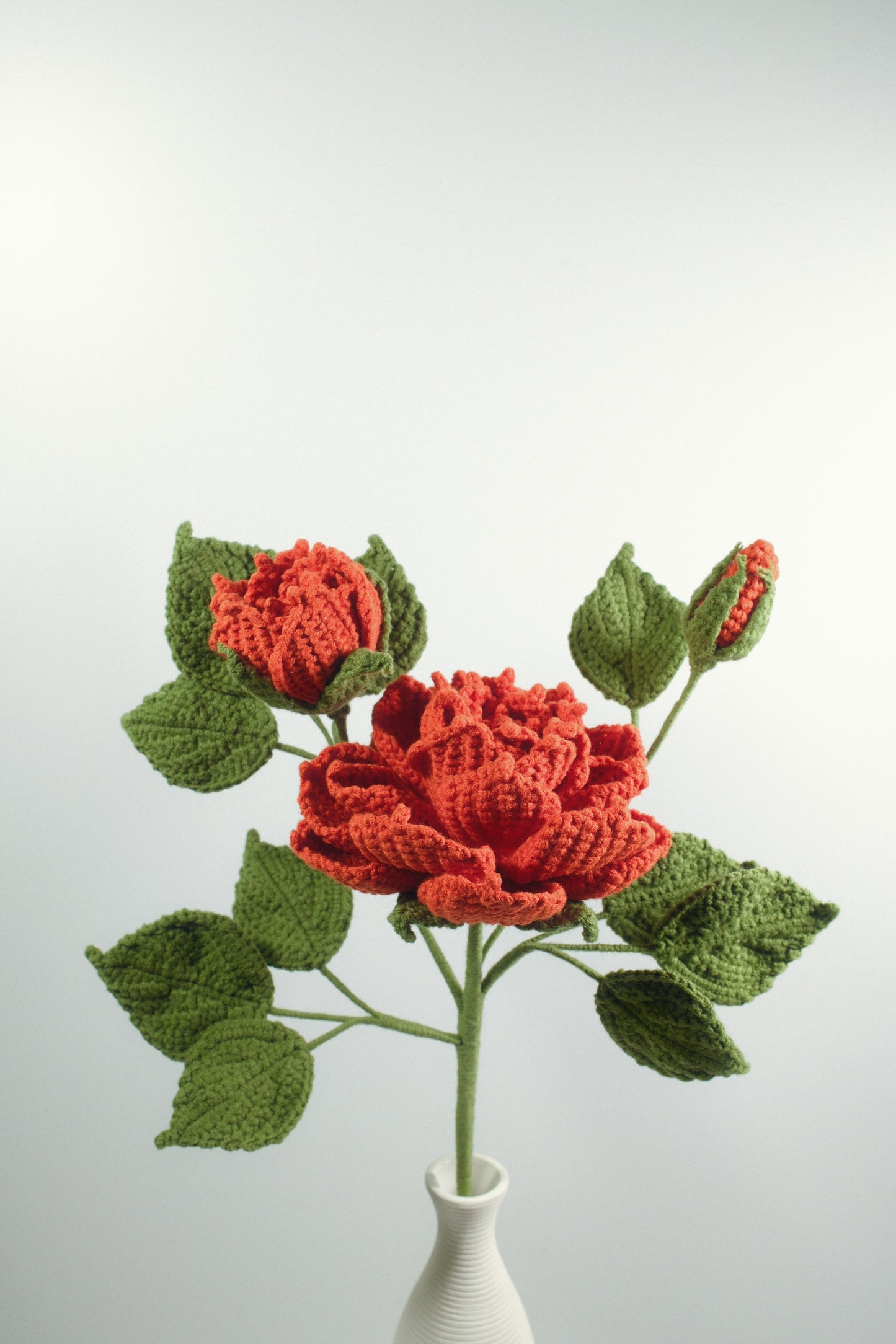 Peony Anthemy