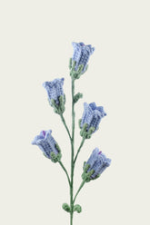 Canterbury Bells