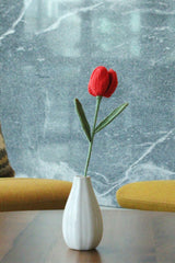 Tulip | Rainbow-colored Flower
