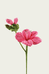 Azalea
