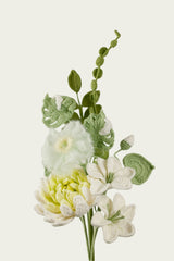 Quiet Dahlia