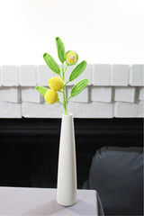 Lemon | Lemon Twig
