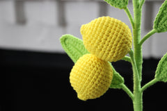 Lemon | Lemon Twig