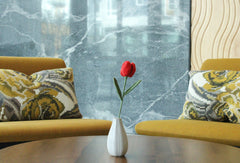 Tulip | Rainbow-colored Flower