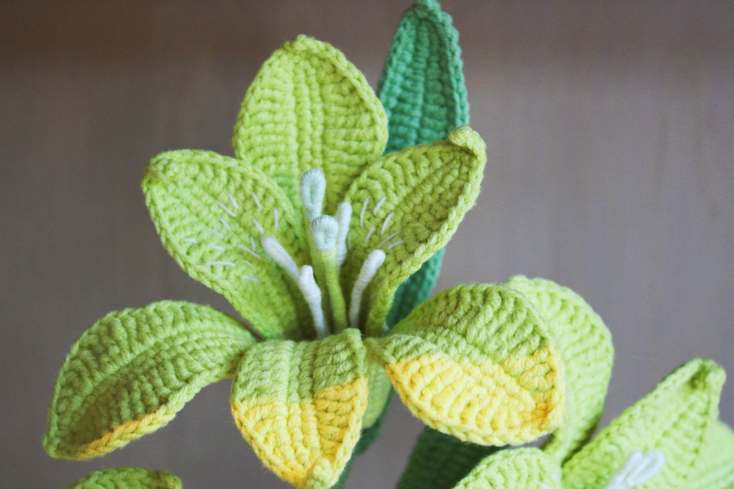 Six-pointed Flower | Grass-Green Flower