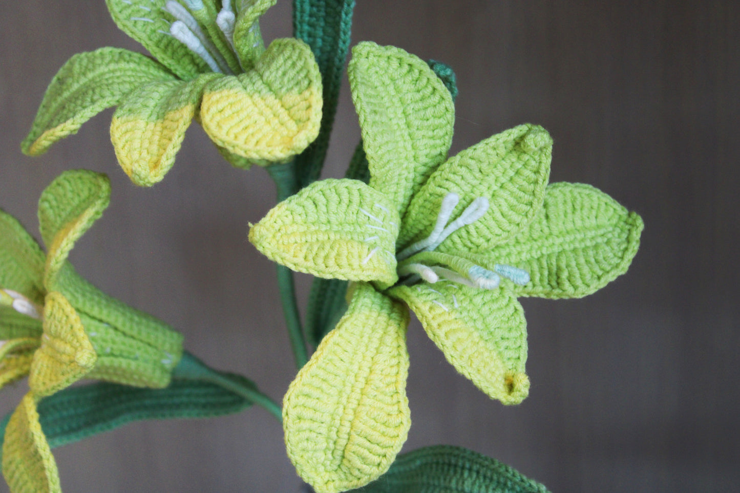 Six-pointed Flower | Grass-Green Flower