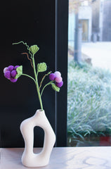 Grape Flower | Grape Vine
