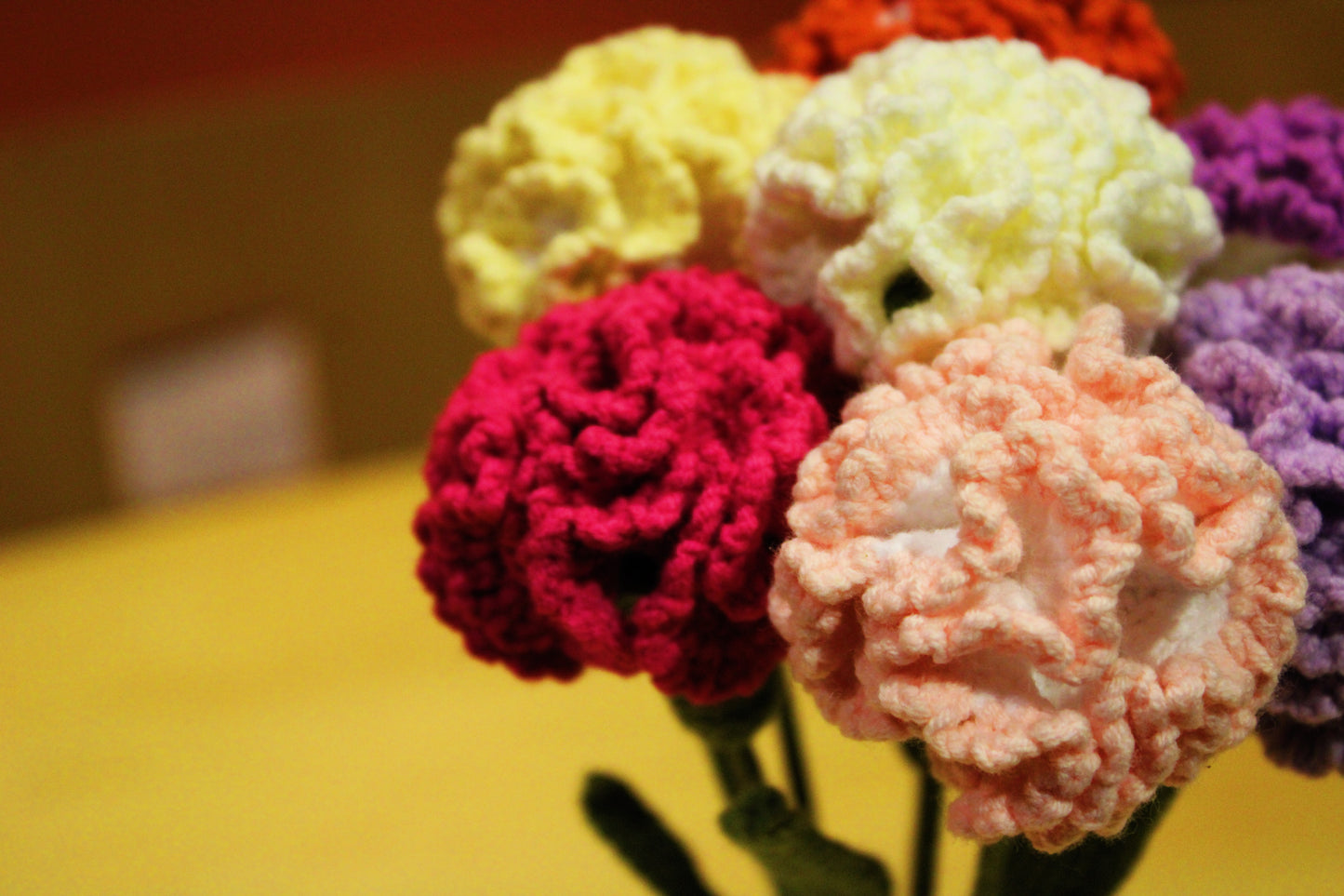 Carnation | Clove Pink