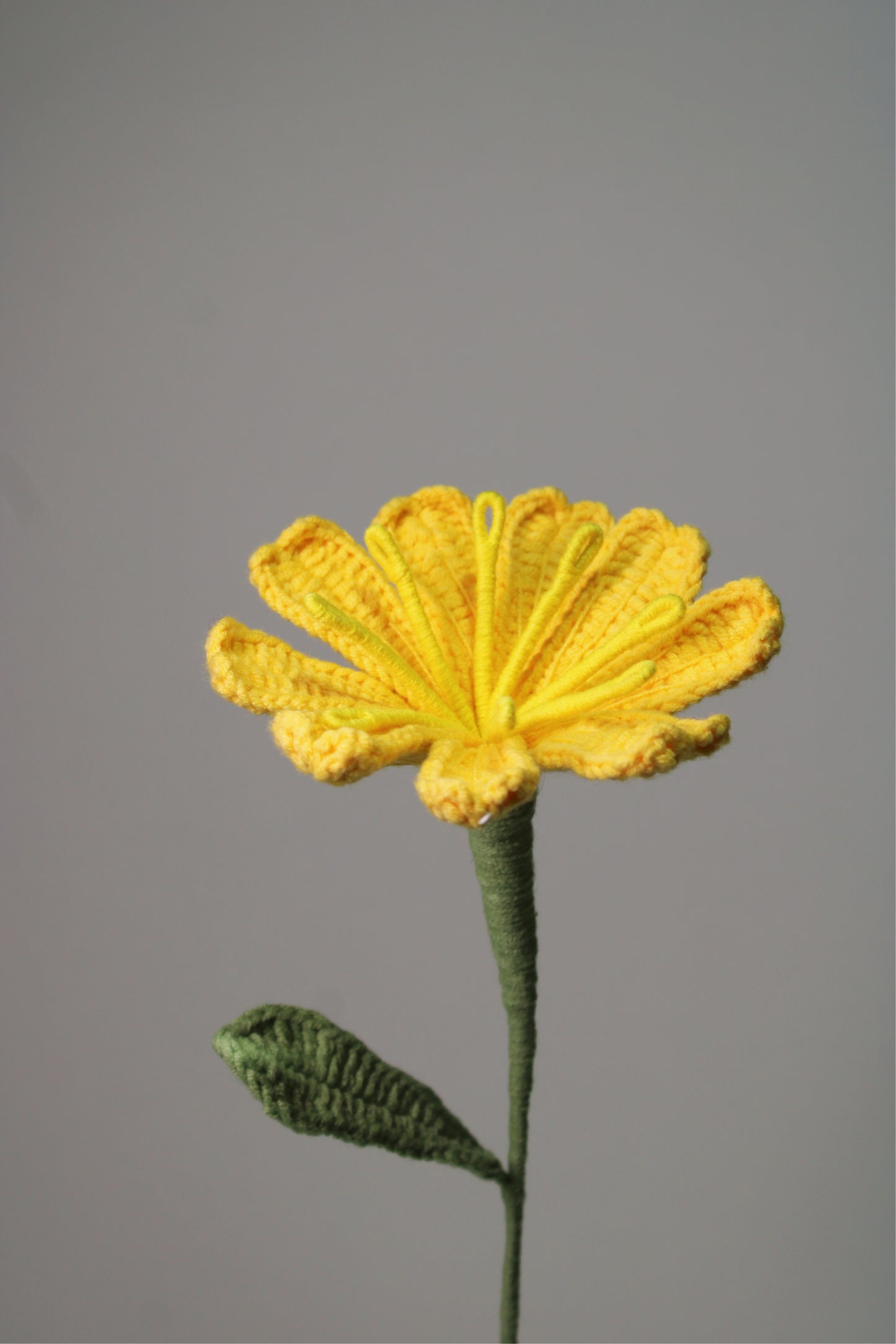 Moss Rose | Yellow Rose
