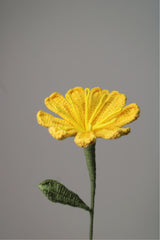 Moss Rose | Yellow Rose