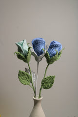 Miniature Rose | Blue Rose