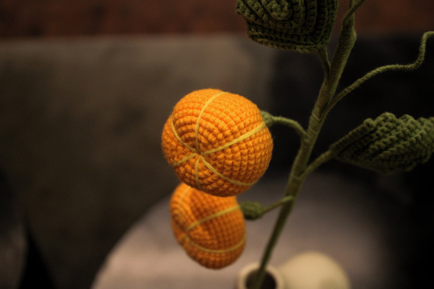 Pumpkin Flower | Pumpkin Vine