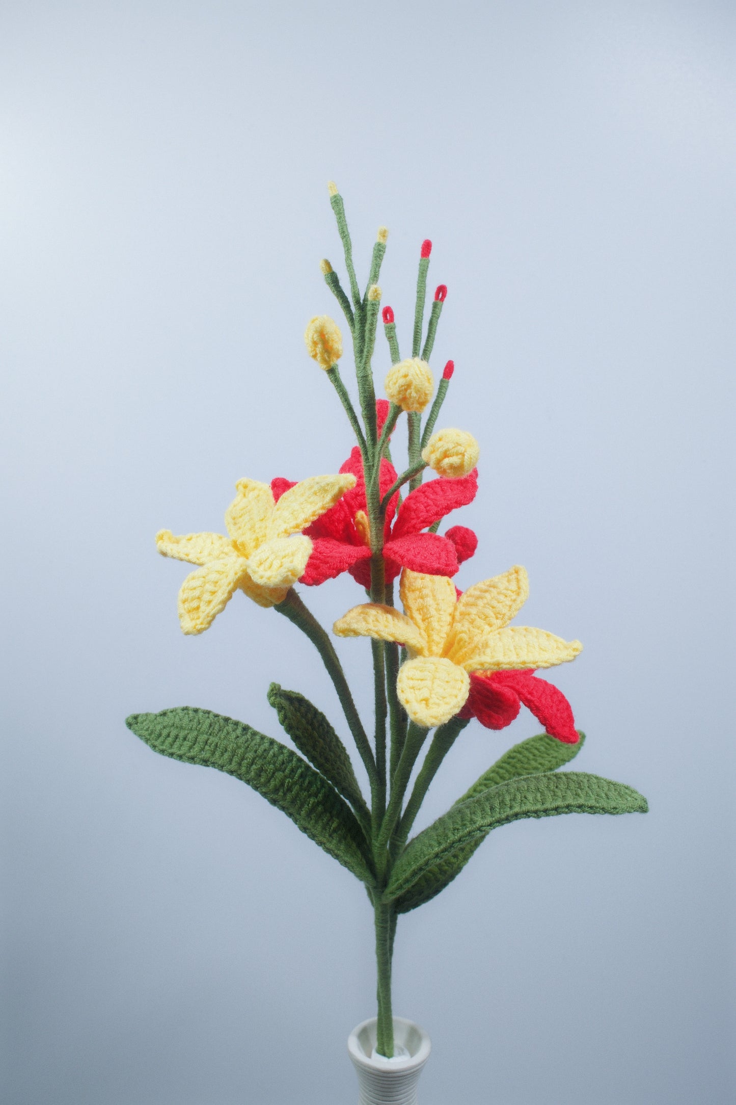 Renanthera