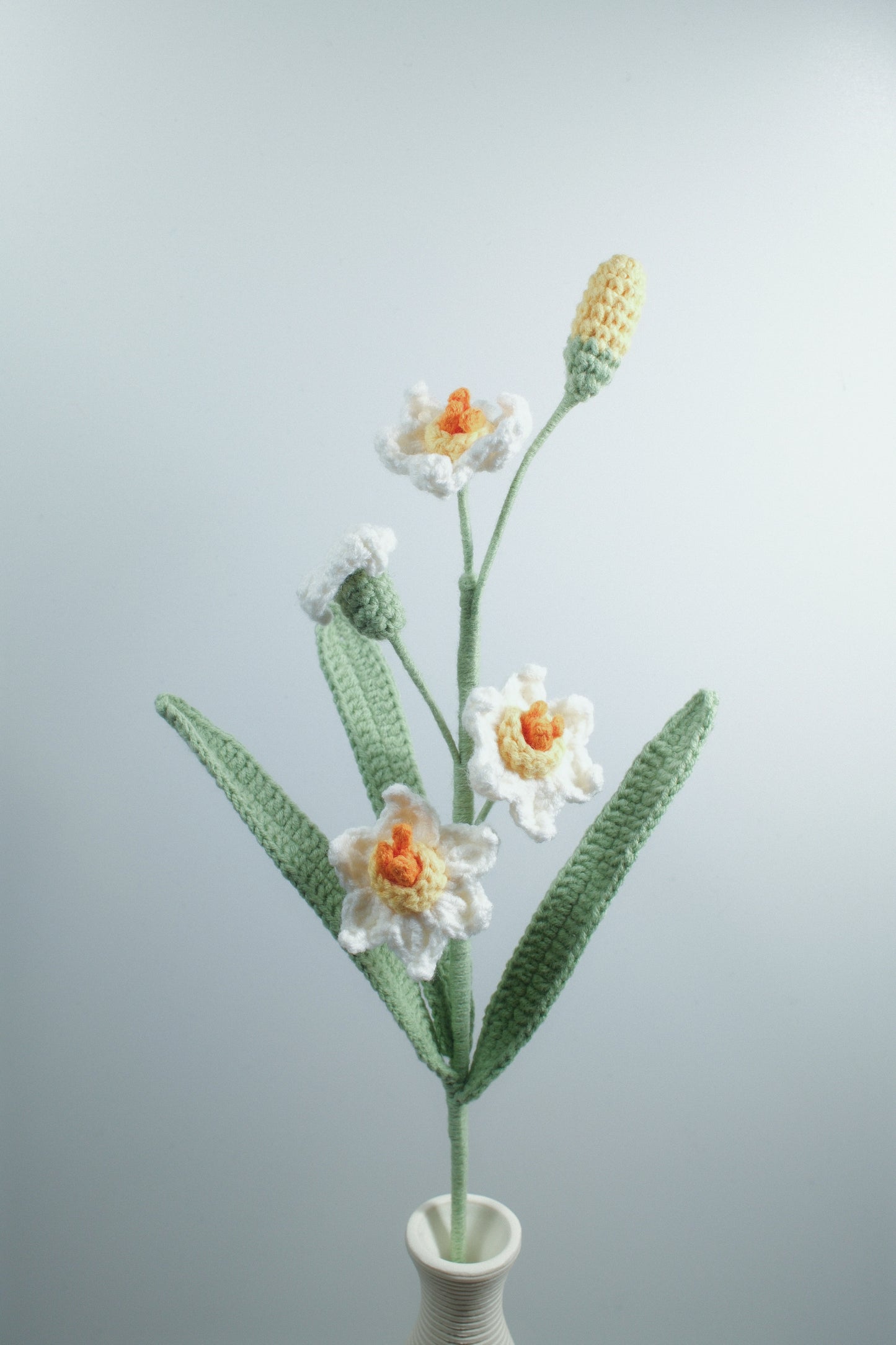 Daffodil